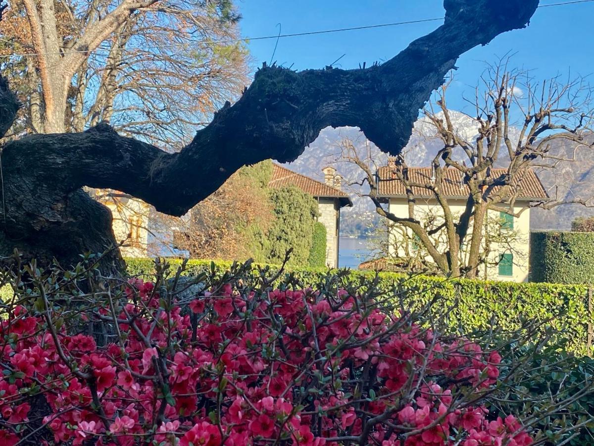 Villa Magnolia - Lake Como Lenno Εξωτερικό φωτογραφία